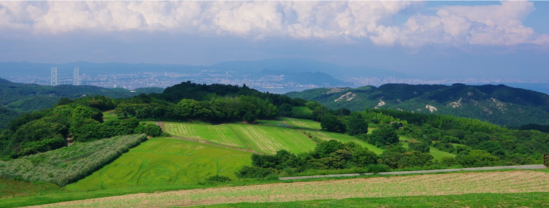 周囲の風景